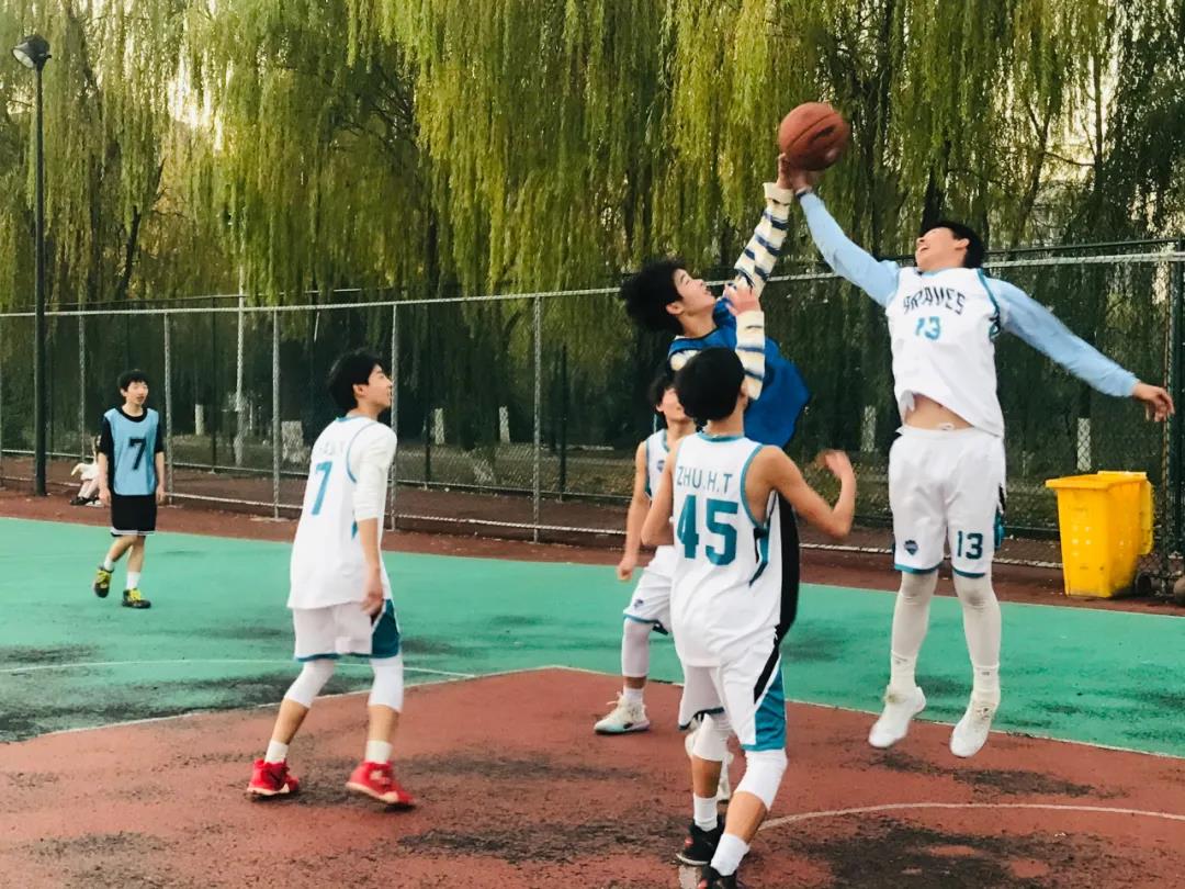 塘栖篮球比赛(图6)