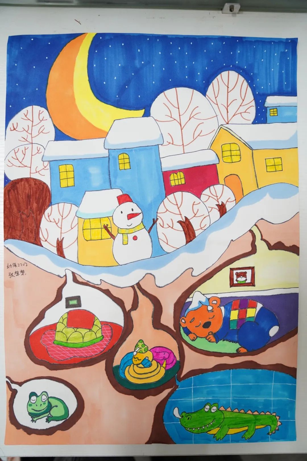 向阳而生 逐光而行 | 我校富阳校区幼儿保育专业优秀作品展(图3)